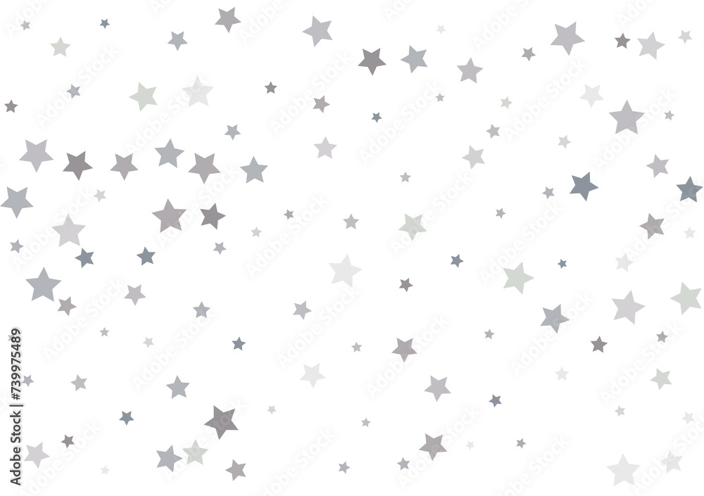 Bouquet of Silver Stars Bouquet of Silver Stars