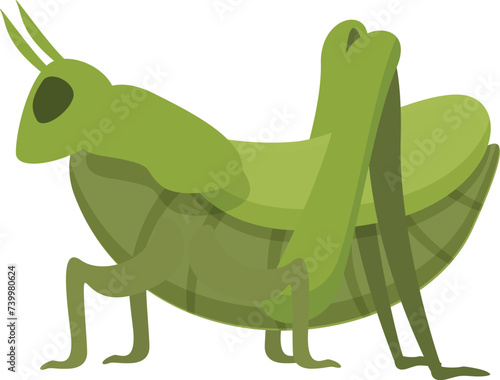 Fototapeta Naklejka Na Ścianę i Meble -  Grasshopper insect icon cartoon vector. Wildlife locust. Fly art ant