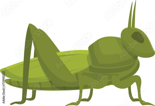 Cricket grasshopper icon cartoon vector. Animal insect. Amusing creature photo