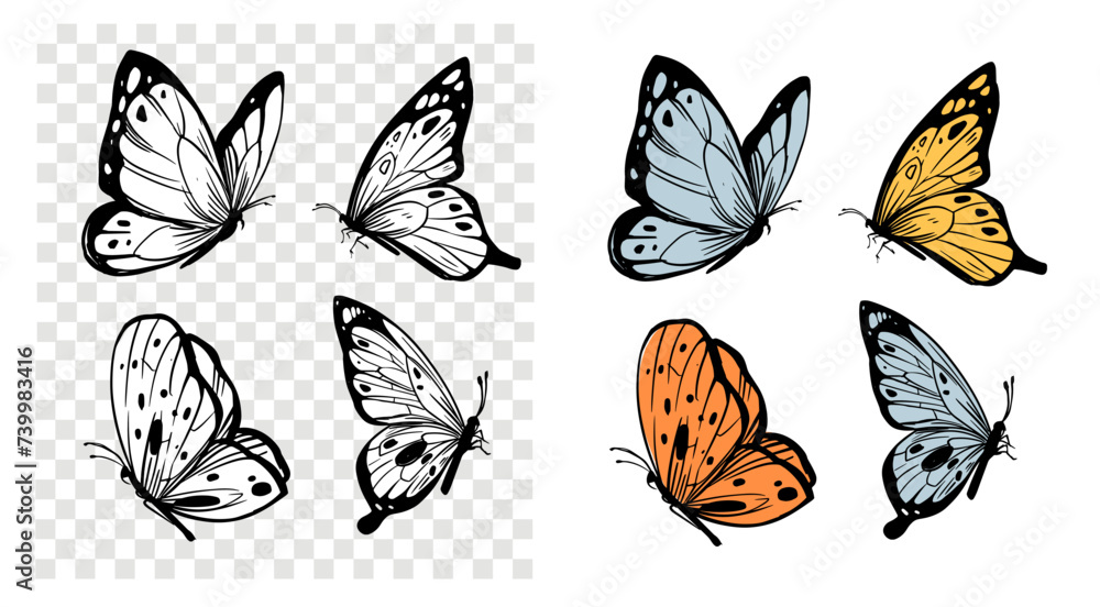 Butterflies set,  hand drawn vector illustration, sketch, black outline, engraving style - obrazy, fototapety, plakaty 