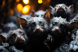 a group of bats hanging upside down in a cave.