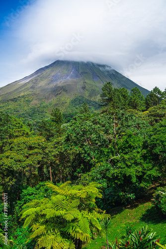 Jungle in the El Arenal National Park  Costa Rica