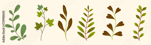 Set of hand drawn branches isolated on white background.Beautiful doodle collection of leaves. Vector flat leaves