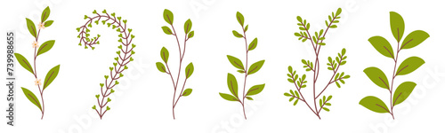 Set of hand drawn branches isolated on white background.Beautiful doodle collection of leaves. Vector flat leaves