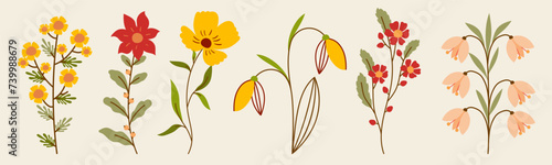 Collection of spring flowers and leaves, hand draw florals for patterns, greeting cards, invitation or posters. Cartoon  modern flowers on white background. Vector floral arrangements.