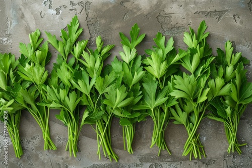 A row of parsley leaves displayed on a table as a decorative plant