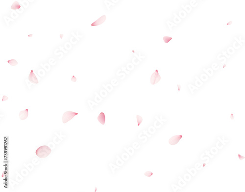 Falling Cherrty Petals