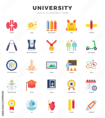 University. Flat icons Pack. vector illustration.