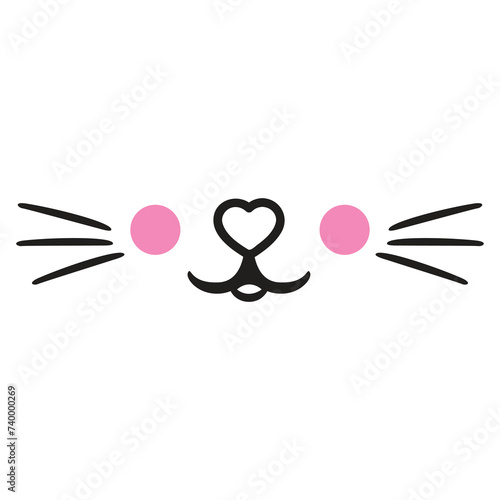 Cat pet mustache face mouth nose muzzle
