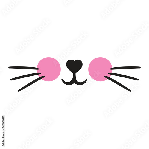 Cat pet mustache face mouth nose muzzle