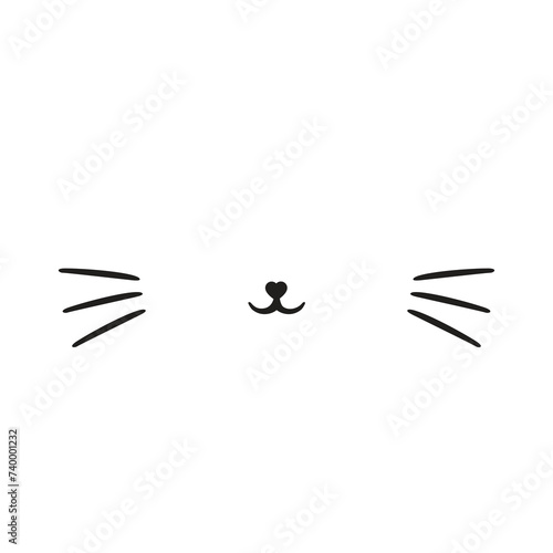 Cat pet mustache face mouth nose muzzle