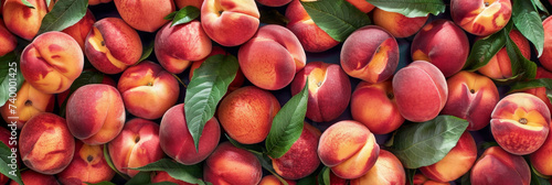 peach, garden, fresh, organic, nectarine, healthy, fruit, ripe, juicy