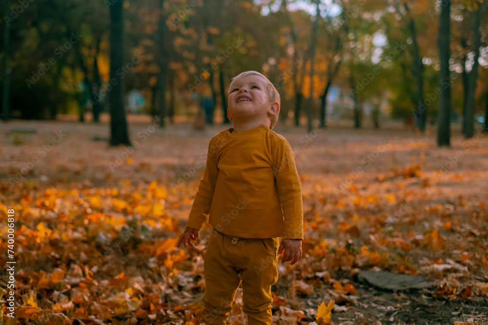 Little boy playing in the park in autumn falling leaves, happy child running in the park Little boy playing in the park in autumn falling leaves, happy child running in the park