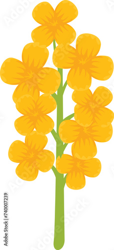 Canola flower icon cartoon vector. Rapeseed plant food. Leaf elegant floral