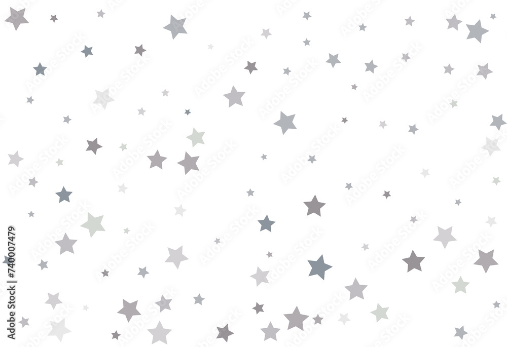 Bouquet of Silver Stars Bouquet of Silver Stars