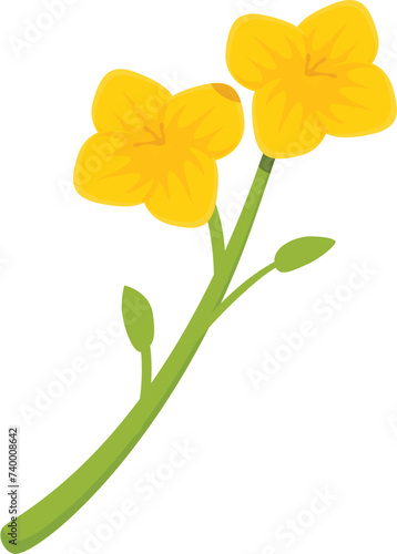 Botanical floral icon cartoon vector. Rapeseed flower. Mustard food