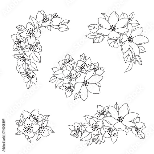 Floral Bunches Set Linear Drawing