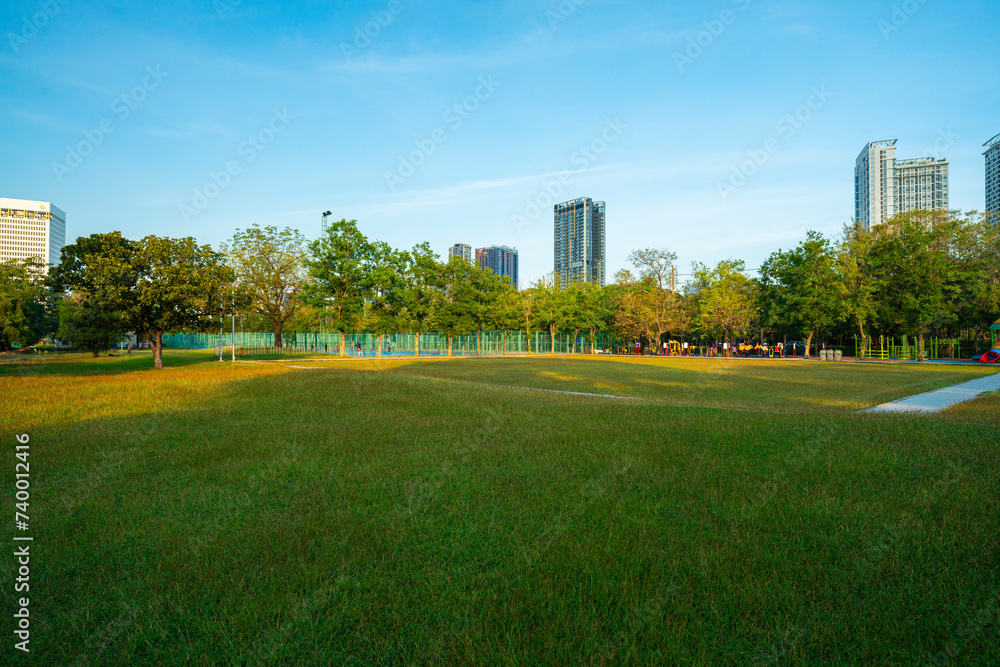 City park green meadow grass sunset evenign sky with cloud nature landscape
