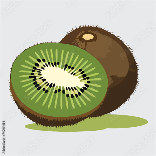 vector of kiwi