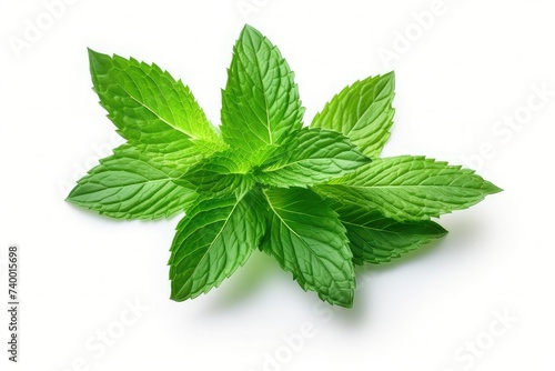 Mint leaves. Fresh mint on white background. Mint leaf isolated. 