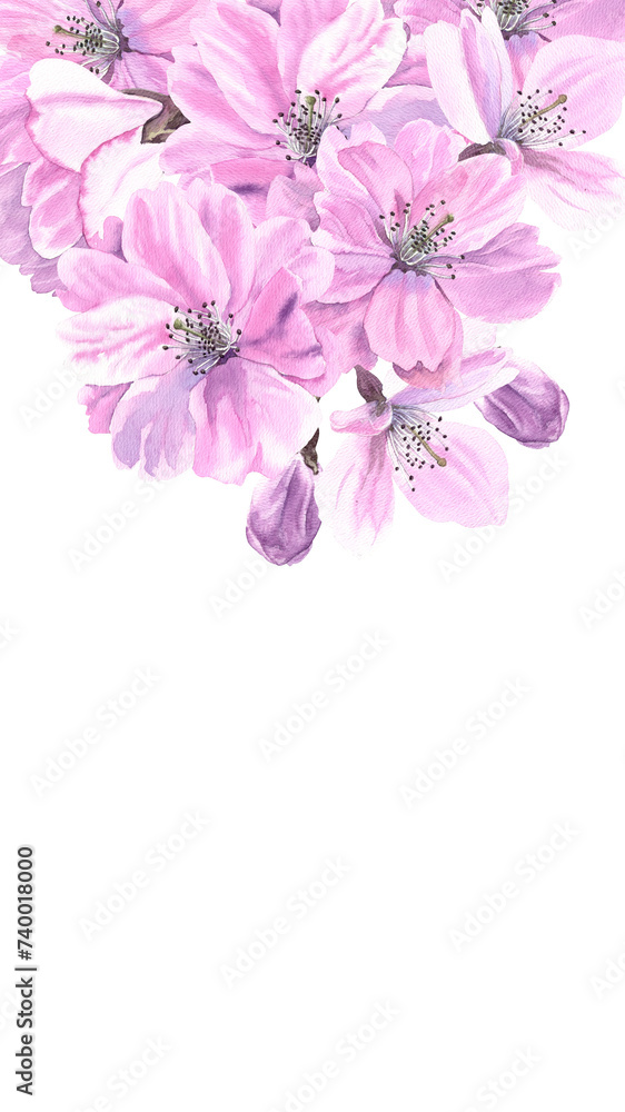 Blossom Sakura flowers. Watercolour spring flower decor hand drawn illustration. Painted botanical floral elements. Seasonal. Isolated background. Greeting cards, banner, invitation card