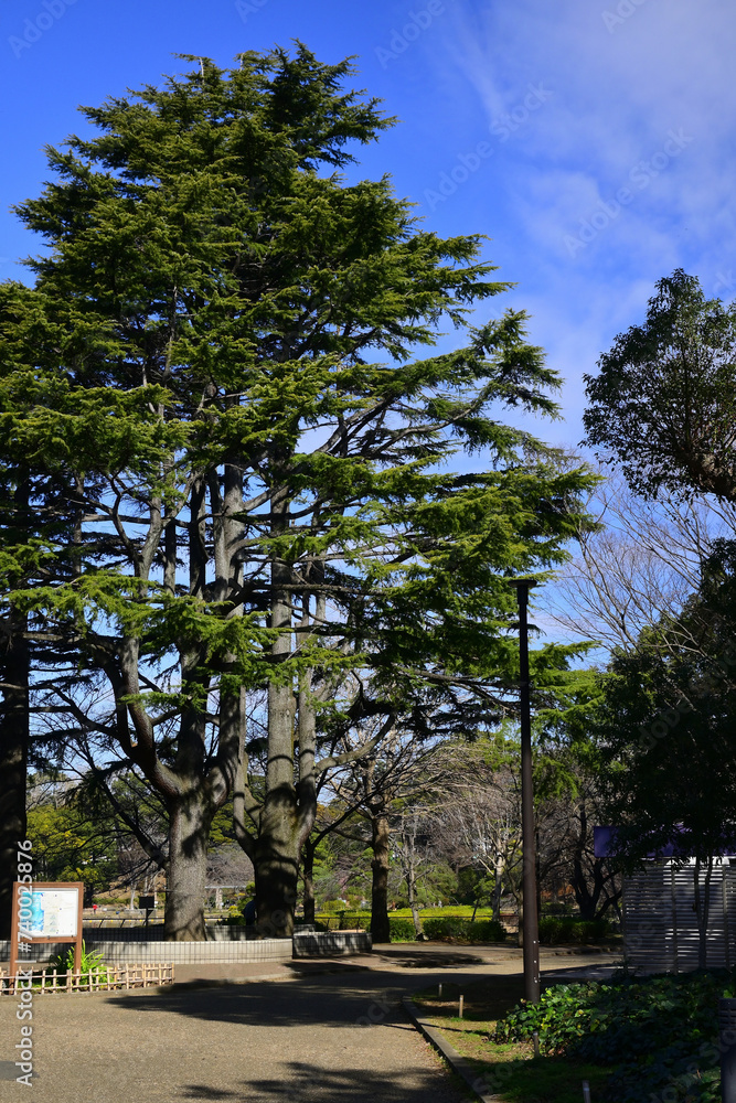 千葉公園