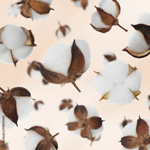 Beautiful cotton flowers falling on beige background