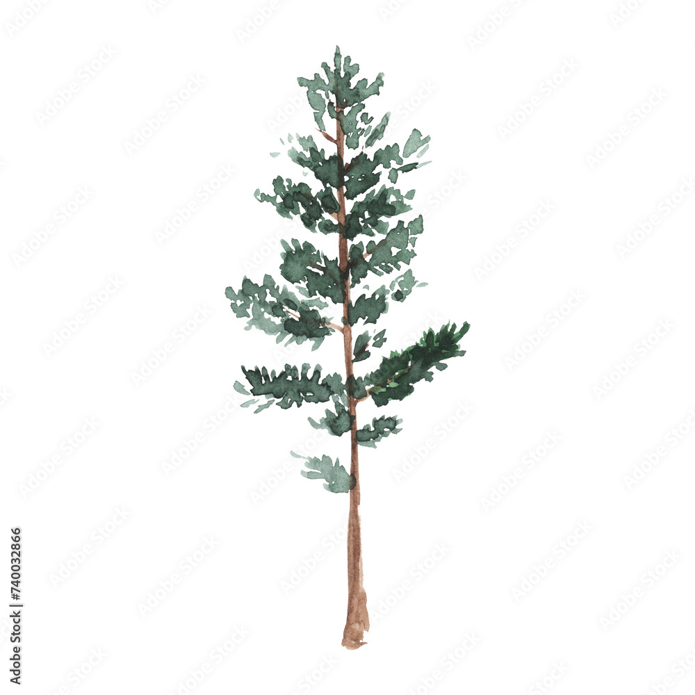 Watercolor green pine tree on white background. Isolated hand drawn elements for prints, cards. Landscape design Watercolor green pine tree on white background. Isolated hand drawn elements for prints, cards. Landscape design