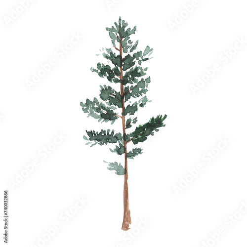 Watercolor green pine tree on white background. Isolated hand drawn elements for prints  cards. Landscape design