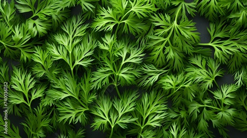 Aromatherapy in the Kitchen  Detailed Closeup of Dill  Essential Culinary Element. Generative AI