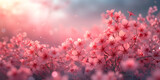 Pink flower bush banner in the sunset light. Design template for wallpaper, spa concept, fabulous. Copyspace