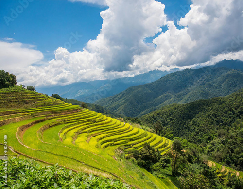 Rice terraces in the mountains with clouds and sky background