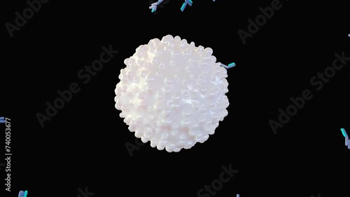 3d animation of antigens as Invaders triggering alarm and Antibodies locking onto invaders, neutralizing them.