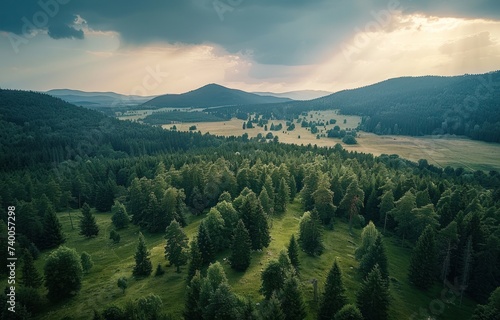 forest green aerial footage shot just before storm clouds come over mountain ...