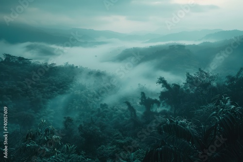 a view of a valley surrounded by fog