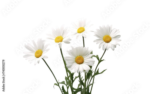 A vase containing an arrangement of white and yellow flowers. Isolated on a Transparent Background PNG.
