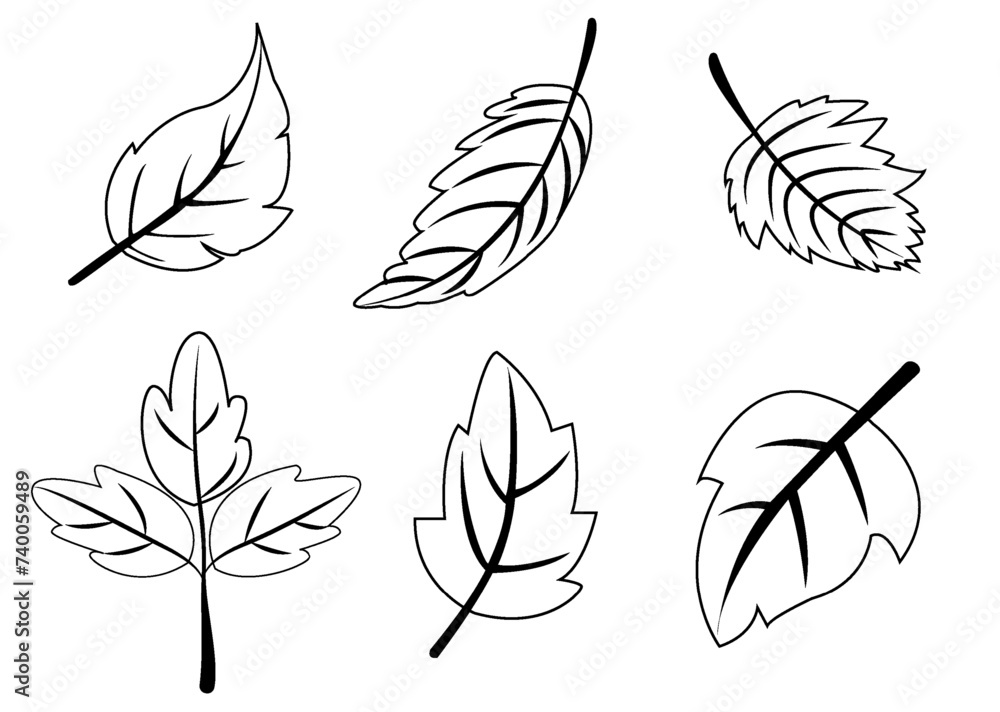 Vector illustration featuring a collection of six different leaf designs in black and white, ideal for spring-themed graphics Vector illustration featuring a collection of six different leaf designs in black and white, ideal for spring-themed graphics