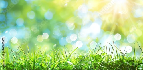 green grass and blue sky background