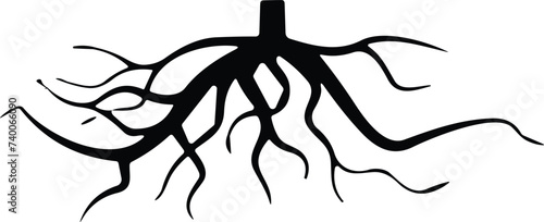 Tree root silhouette icon vector. Taproot and fibrous root system plant, realistic black roots  photo