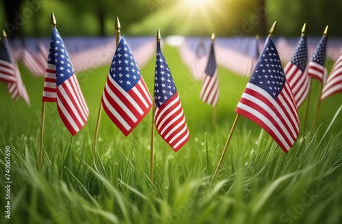 Memorial Day Flags in Grass, Patriotic American Background