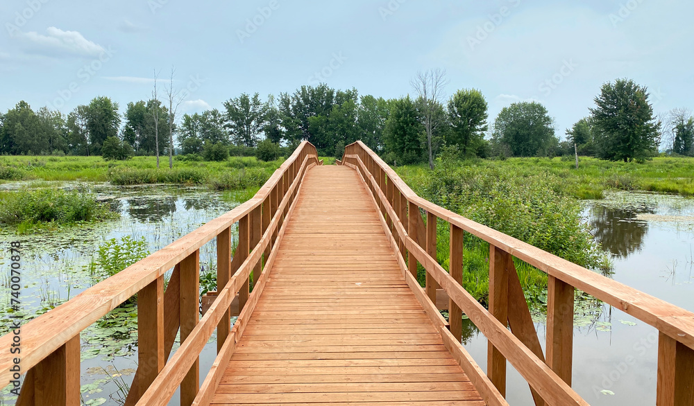 Wooden bridge in the forest. Elevated walkway in a wetland. Walk in a natural park overlooking a marsh.