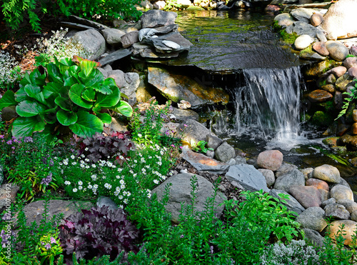 kaskada wodna w ogrodzie, strumień w ogrodzie, kamienna sadzawka, garden with stones and small shrubs, ogród japoński, designer garden, 