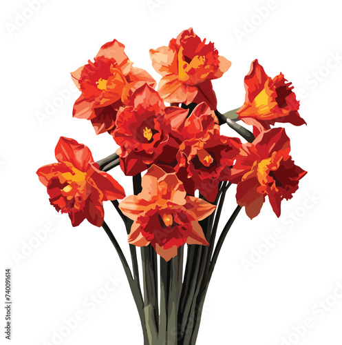 bouquet of orange color Daffodil  flowers