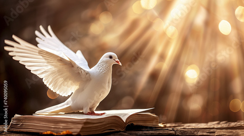 White dove flying over the Scripture, in the ray of light on golden background. Holy Spirit and Bible