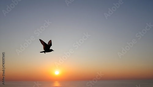 seagull fly againts sunset background © Vasile