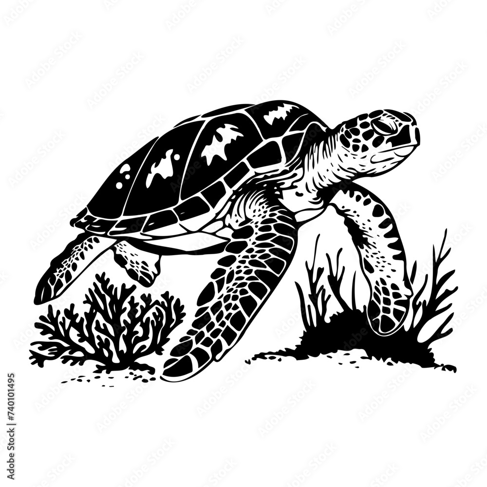 gorgeous sea turtle swimming gorgeous sea turtle swimming