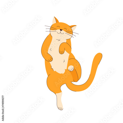 A red-haired contented vector cat is lying on its back