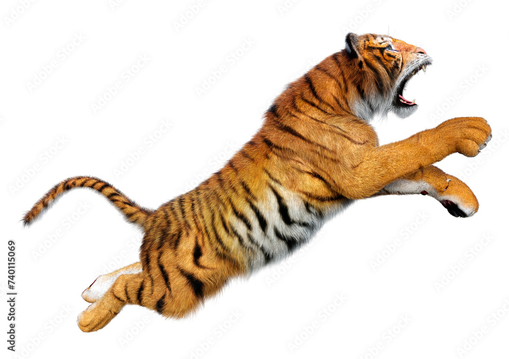 Fototapeta premium 3D Rendering Big Cat Tiger on White