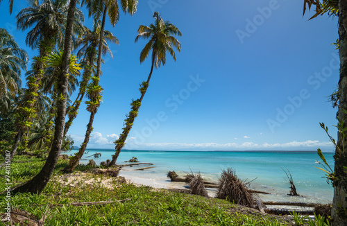 Beach on Zapatilla 2 Island  Bastimentos  Bocas del Toro  Panama
