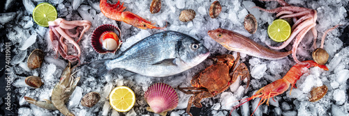 Seafood panorama. Fresh fish and sea food on ice, overhead flat lay